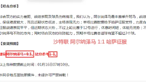 2025保定马拉松：十万跑者的狂欢密钥